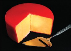 Cheese, Glorious Cheese!