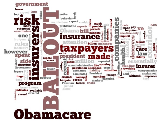 obamacare-taxpayer-bailout-word-cloud-wordle