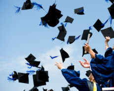 13447990 - high school graduation hats high