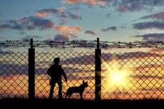 45646328 - silhouette of a soldier on the border with a fence and a dog at sunset