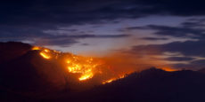 68176785 - burning wildfire at sunset